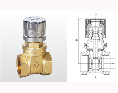 196 Z15W-16T 黃銅磁性帶鎖閘閥